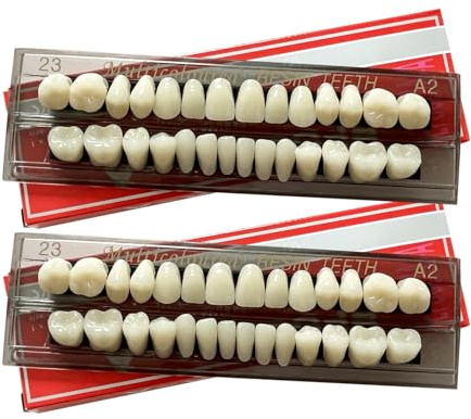 2 Sets/56 Stück Falsche Zähne Falsche Zähne Dental Komplette Acrylharz Zahnersatz Zähne, Ober- und Unterkieferzähne für Ersatz, Halloween Party, DIY, 23 A2