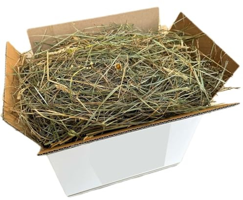 Foin naturel pour lapins 20 kg | Danse de foin italienne de prairie de montagne séchée au soleil | Nourriture pour cochons d'Inde, Chinchilla, lapins nains, chevaux, poulets et rongeurs