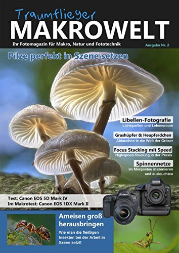 Traumflieger Makrowelt Ausgabe Nr. 2: Pilze perfekt in Szene setzen (Fixed Layout)