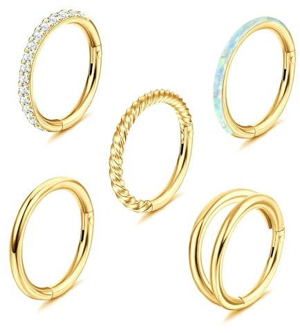 Diamday 5 Stück 18G 16G Nasenringe für Damen Clicker Klappsegment Chirurgenstahl Septum piercing Silber Nasenring Lippenringe Helix Knorpel Ohrringe Doppel Hoop Nasenring