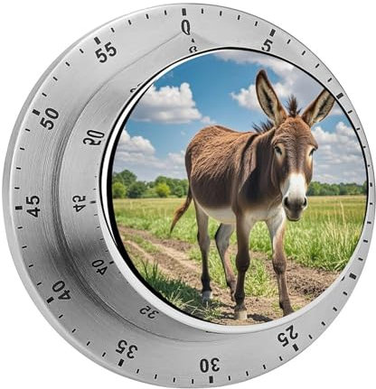 Lustiger Esel-Küchentimer, Koch, Koch-Timer, Uhr mit lautem Alarm, mechanischer Schreibtisch-Timer, magnetischer Countdown-Timer, Edelstahl, Countdown-Timer