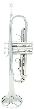 Blechblasinstrumente Trompete Trompete Bb B Flat Messing Exquisit Mit Mundstück Musikinstrumente (Color : Silver)