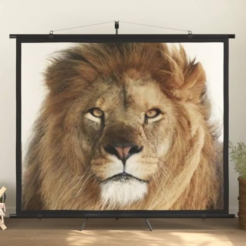 Home outdoor OthersProjection Screen with Tripod 90 4:3