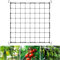 Scrog Netz 80x80,Hydroponic Nylon Pflanzennetzwerk Grow Netz with 4 Hooks, Elastisches Mesh Zelt Ranknetz,Passend für Garten, Hof, Gartenarbeit (80 * 80cm)