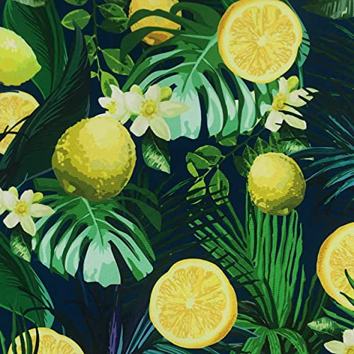 HEKO PANELS Stoff Oxford Wasserdichte Meterware Canvas Polyester Stoff Zum Nähen Nähstoffe Möbelstoffe Dekostoffe Handwerken Wasserabweisend Blickdicht Zitronen Tropen Tropical 100 x 160 cm