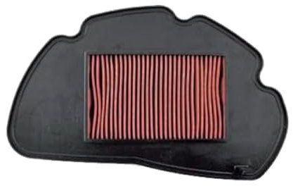 RIDE AND CUSTOM Filtro Area Compatibile con Honda Pcx 125 Ww125Ex2 125 2010-2011