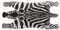 windschief-living Witzige Landhaus Türmatte; Kokos Matte, Fussmatte Zebra