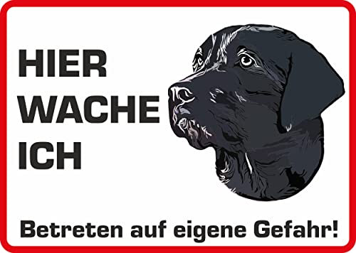 Daged Hier Wache Ich Hund Labrador Aufkleber 23x16 cm Hinweisaufkleber Gartentor Haustür Türschild Wetterfest Abschreckung HU-08