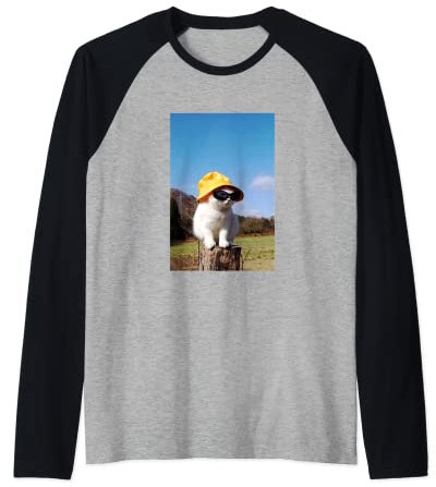 Gelb Ästhetik Vibe Süß Yume Kawaii Katze Lustiges Kätzchen Raglan