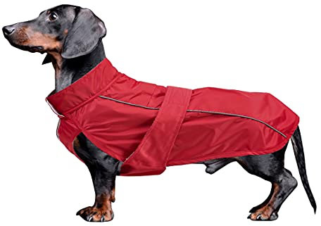 MOREZI Dachshund Regenmantel, wasserdichte Außenschicht, Fleecefutter, reflektierende Besätze, Verstellbarer Gürtel - geeignet für kleine und mittelgroße Hunde-Rot-L
