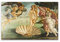 ZZPT Sandro Botticelli Wandkunstdruck – Die Geburt der Venus Poster – Abstrakte Malerei, moderne Leinwandkunst, Wanddekoration für Wohnzimmer, Schlafzimmer, Wohnkultur, ungerahmt (30 x 45 cm)