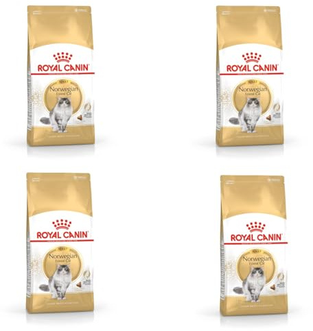 Royal Canin Norwegian Forest Cat Adult | 4er Pack | 4 x 400 g | Allfeinfuttermittel für ausgewachsene Norwegische Waldkatzen | Ab dem 12. Monat | Gesunde Haut und schönes Fell