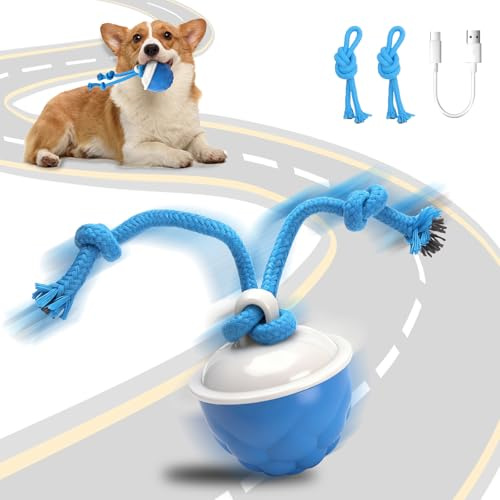 MewZoo Interactive Dog Toys - Moving Dog Ball for Boredom with Ropes | Interactive Dog Toys Emits Bird Sounds to Stimulate Curiosity, Rechargeable Dog Toy for Small Dogs Puppies ( Blue )