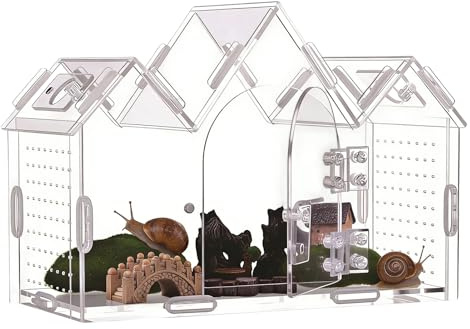 Recintos de arañas con Puertas Magnéticas, Acrílico Transparente, Casa para | Acrílica para Araña Saltadora para Mantis, Serpientes, Geckos, Tortugas, Dragones Barbudos, Lagartos