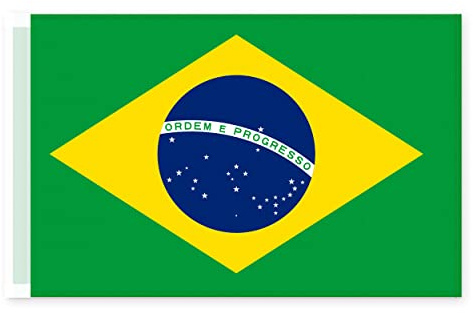 Brick Takeover Brasilianische Flagge - Brasilien Fahnen und Flaggen - Brasilien Fahne Brasilien Flagge - Brasil Flag 45x30cm
