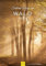 Edition Seidel Premium Kalender Schöne Tage im Wald 2025 Format DIN A3 Wandkalender Naturkalender Jahreszeiten Natur Bäume Farn Bergwald Waldlichtung Christian Müringer