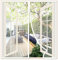 Risareyi Mosquitera Ventana Magnetica 60x110cm, Cierre Automático Cortinas Mosquitera Ventana con Imanes, Entre Aire Fresco, Antimosquitos Mosquitera Puerta Magnetica, Blanco