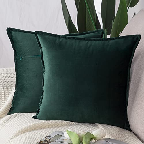Madizz Pack of 2 Super Soft Velvet Decorative Cushion Covers with Fringe Luxury Style Cushion Case Pillow Shell for Sofa Bedroom Square Army Green 22x22 inch, 55x55 cm