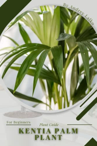 Kentia palm plant: Plant Guide
