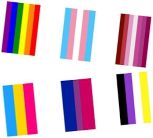 9,8 m lange LGBT-Wimpelkette, Regenbogenfarben, LGBT+, Banner, Dekoration, Trans Gay Pride, Lesben, mit hängenden Girlande, Wimpelkette, Party, Events, Dekoration, rechteckige Wimpel, 10 m Länge
