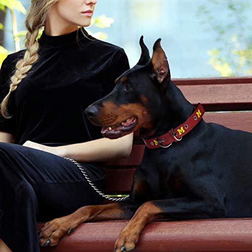 Pets First NCAA Michigan Wolverines Premium Hundehalsband, limitierte Auflage, Größe L Bestes und robustes, robustes Hundehalsband
