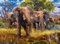 Ravensburger Puzzle 15040 - Elefantenfamilie - 500 Teile