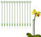 Palo di Sostegno per Piante,10 Pezzi Sostegni per Piante,Clip di Supporto per Piante,Clip per Orchidee da Giardino,Supporto Piante Stelo Singolo Anello,Supporto Piante,Palo Riutilizzabile per Piante