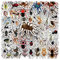 Spinnen Aufkleber 50 Stück Vinyl Cartoon Insekt Aufkleber für Laptop Auto Koffer Notebook Skateboard Scrapbook Gepäck Telefon Gitarre Computer,Wasserdicht Cute Spider Stickers für Erwachsene Kinder