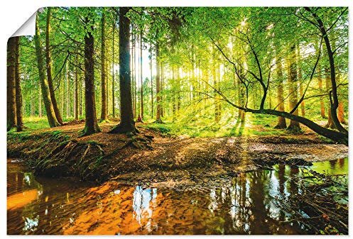 ARTLAND Wanddeko Poster & Kunstdrucke Wandposter 120x80 cm Wald Natur Landschaft Bäume Bach Sonne Frühling T9IO