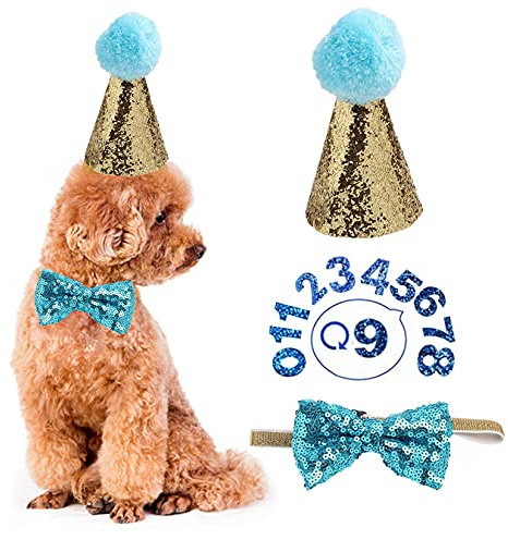 Geburtstagshut für Hunde - Haustier-Geburtstagshut und Fliege Halsband Set mit Nummer, wiederverwendbare Kopfbedeckung für Welpen, Katzen, Kostüme, Party-Dekorationen, Zubehör (Hellblau)