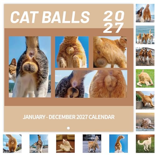 Kalender 2026 – Wandkalender 2026, Januar 2026 – Dez.2026, 30,5 x 61 cm (geöffnet), 12 monatlicher Wandkalender 2026 mit unlinierten Blöcken, perfekter Monatskalender zum Organisieren – Cutie Cat