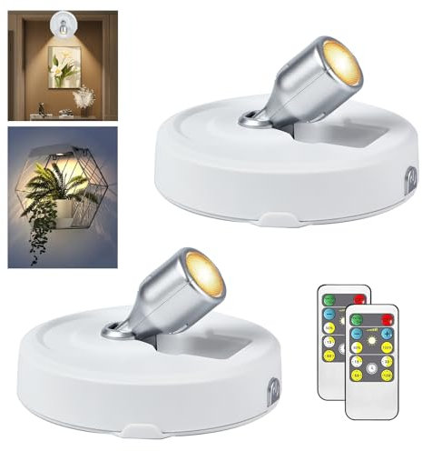RAHAN 2Pack Alimentato a Batteria LED Riflettore Immagine Luce, Illuminazione Interna con Telecomando, Luci Fotogramma, Luci di Visualizzazione Arte per Dartboard Ritratti Dipinti Opere d'arte
