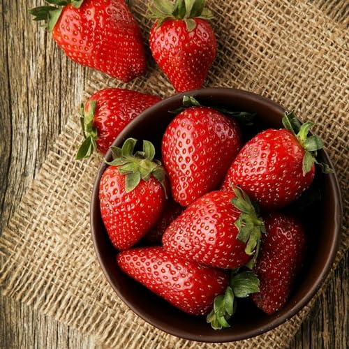 Carbeth Plants 2 x Strawberry Sweetheart Fruit Plant in 1L Pot - Easy to Grow Perennials for UK Gardens - Tasty Sweet High Yielding Outdoor Fruiting Plants for Beds, Borders or Pots