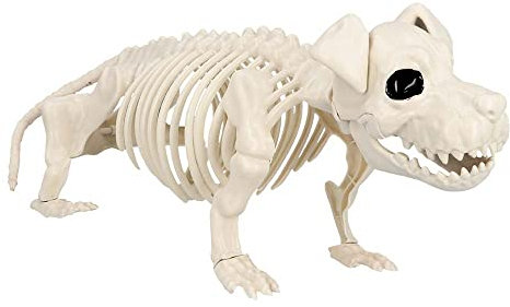Boland 72416 - Hunde-Skelett, Größe 52 cm, beweglicher Mund, Hund, Dog, Attrappe aus Kunststoff, Dekoration für Halloween, Karneval oder Mottoparty, Beige-schwarz