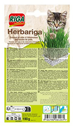 Hierba para Gatos, 150g de substrato de germinación, 40g de Cebada.