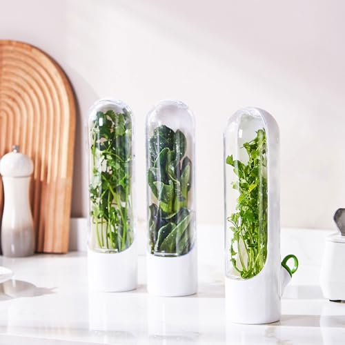 Lot de 3 boîtes de conservation d'herbes pour réfrigérateur, 24,5 x 8,5 x 6,5 cm, avec couvercle avant transparent, bouteille de conservation des herbes aromatiques, légumes, persil, coriandre,