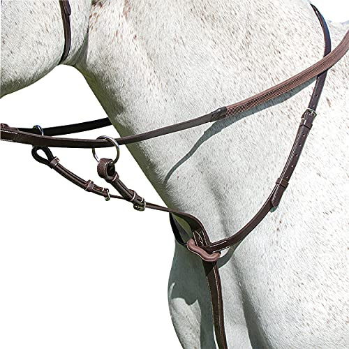 Shires Avignon Running Martingales Extra Full Size Havana