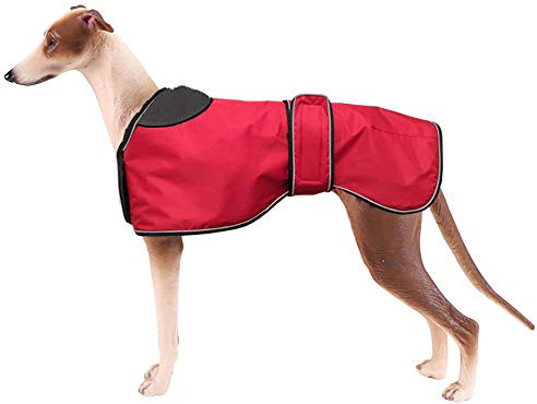 Giacca impermeabile per cani MOREZI, fodera in pile di lana, finiture riflettenti, cintura regolabile, adatta a cani di taglia media e grande come i levrieri-Rosso-XS