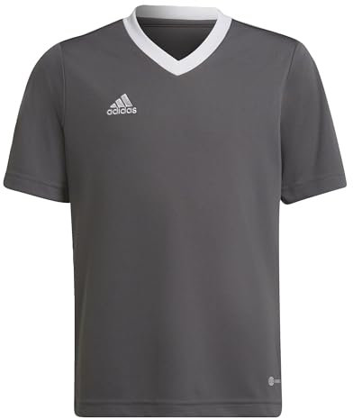 adidas Unisex Kinder Entrada 22 Jersey, Team Grey Four, 13-14 Years
