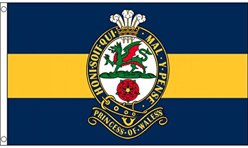 Prinzessin of Wales Royal Regiment Flagge, 152 x 91 cm