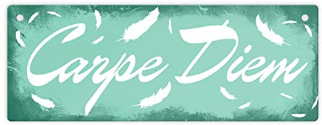 Carpe Diem Nutze den Tag Metallschild in grün schönes Blechschild für Innen und Außen um dein Lebensmotto mit deinen Freunden zu teilen und zu leben
