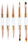 5 Pièces Pinceau Nail Art Ongles Gel, Pinceaux en Détail à Ongles, Gel Acrylique UV Pinceau, Double-extrémité Brosse de Ongle Peinture Outil pour DIY manucure