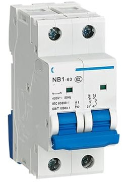 HCVYQMMJ Disjoncteur électrique Miniature NB1-63 2P C20 6 kA | 710020100002209
