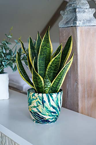 Ivyline Monza, vaso per piante da interno in ceramica, motivo botanico, felce, verde, 17 cm