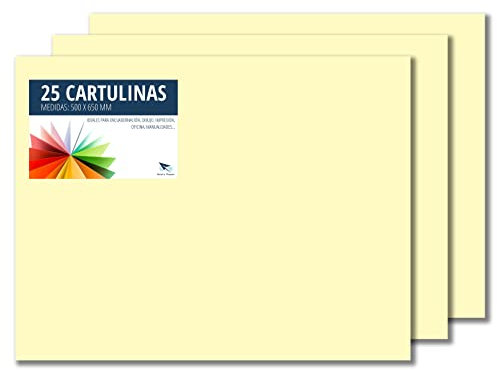 RAYLU PAPER – Tonpapier 50 x 65 cm, 25 Stück Kartonpapier 180g/m², 210 x 297 mm, professionelle farbige Kartons für Büro, Kopierpapier, Buntes Papier zum Basteln (Creme)
