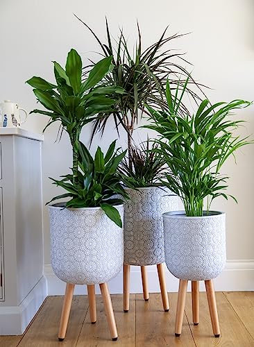 Set of Flower Patterned Planter on Legs - White - Indoor Plant Pot Stonelite
