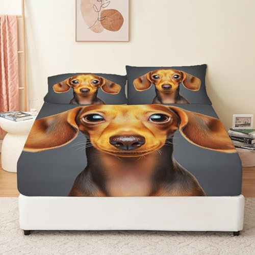Weiche Atmungsaktivem Orange Farbe Bedruckte Spannbettlaken Bis 30 cm Hohe Matratzen Tiefe Tasche Microfaser Motiv Dackelwelpe mit großen Augen Spannbetttuch 180 x 200 cm Mikrofaser Spannbetttuch