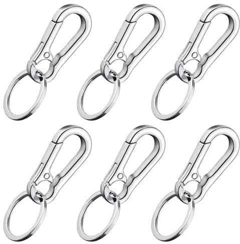 6 Karabiner Schlüsselringe, Karabinerhaken Klein aus Metall für Schlüssel, Outdoor und DIY, Zinklegierung und Edelstahl, 22 mm x 45 mm x 5 mm