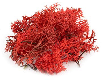 War World Scenics Lichen Red Moss Model Foliage 60g – Model Railway Wargame Scenery Landscape Modelling Trees Bushes Hedges Diorama Basing Material