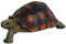 Bambelaa! Schildkröte Figur Garten Skulptur Deko Gartenfigur Groß Für Außen Innen Zum Stellen Ca 15 x 9 x 6 cm Grün Braun